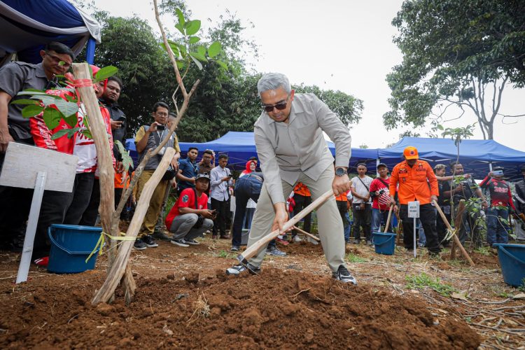 Pohon Jalan R.E. Martadinata Segera Ditanam Kembali dan Pemkot Selidiki Kasus Pengulitan