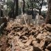 Kurangi Risiko Banjir di Bandung, 1.300 Sumur Resapan Dibangun
